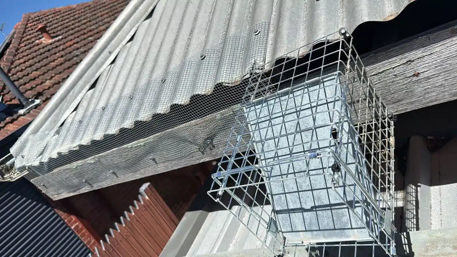 Custom one-way possum door and galvanised mesh proofing fitted over a roof entry point